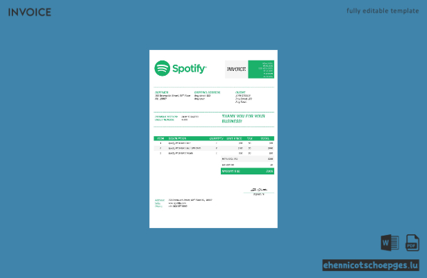 Beispiel einer Spotify-Rechnung (USA)